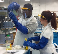 Picture of students making biodiesel