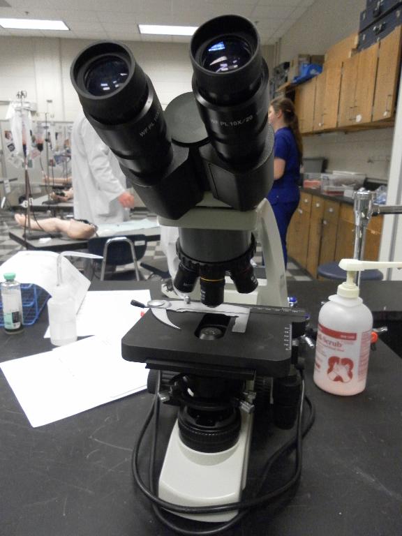 Binocular scope