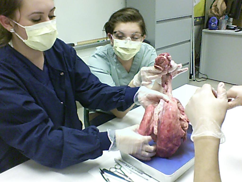 therapeutics 107