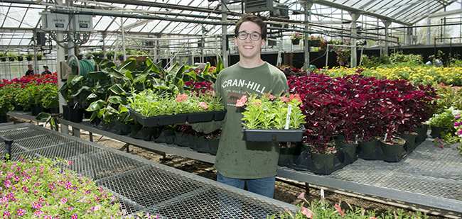 Student prepares plants for sale in the greenhouse